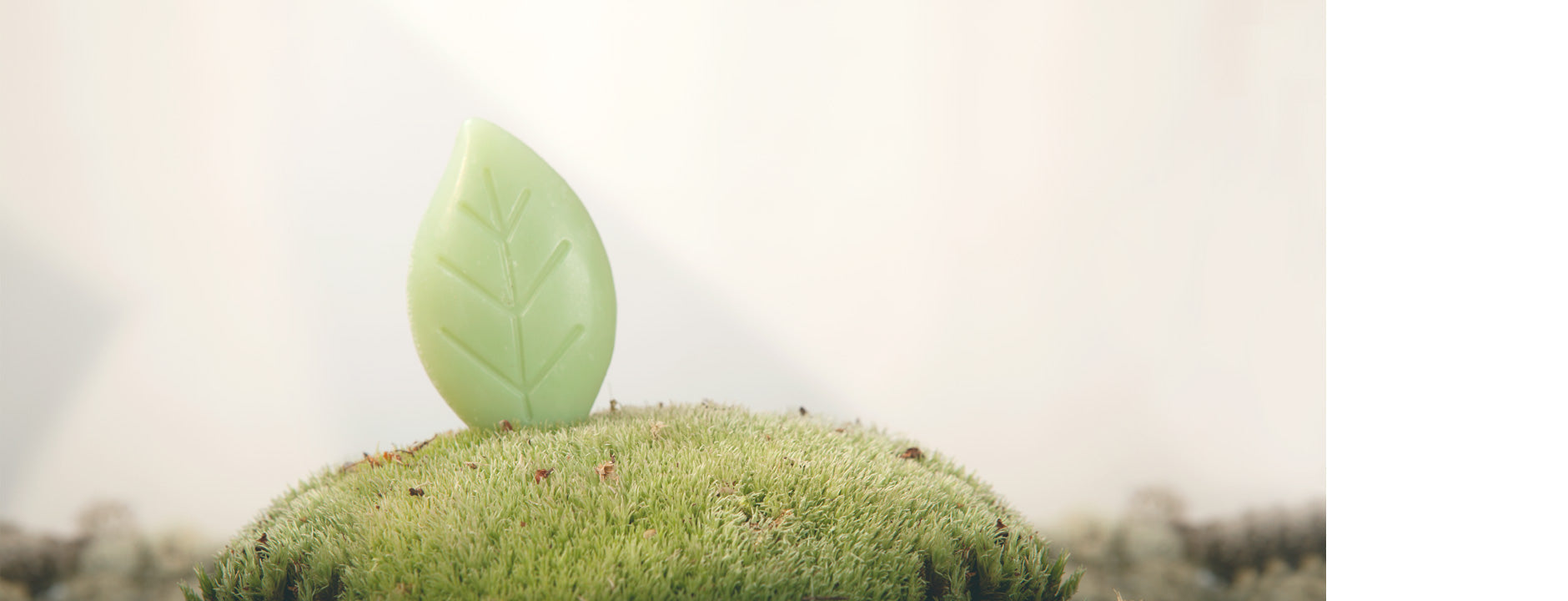 Gfl quality & green certifications