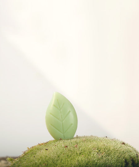 Gfl quality & green certifications